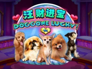Doggone Lucky thumbnail